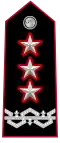 Abzeichen Stellvertreter des Kommandierenden Generals der Carabinieri