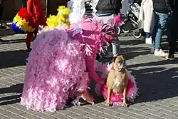 Foto einer ganz in Rosa gekleideten Frau mit federbesetztem Rock und rosa geschminktem Gesich, die sich zu einem Hund beugt, der ebenfalls einen mit rosa Federn besetzen Umhang trägt.