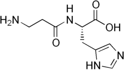 Struktur von Carnosin