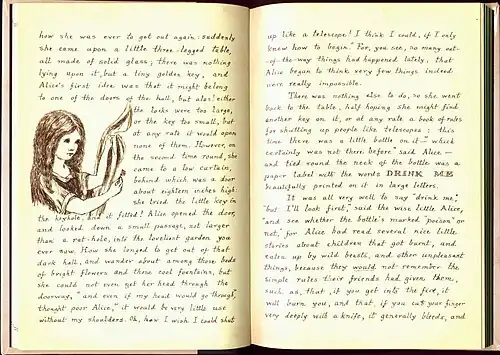 Weitere Zeichnung im 1. Kapitel