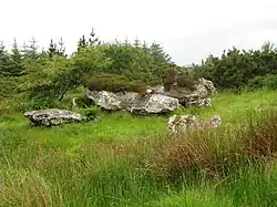 Wedge Tomb von Casheltown