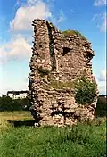 Ruine des Tower House'
