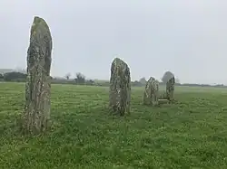 Steinreihe von Castlenalacht