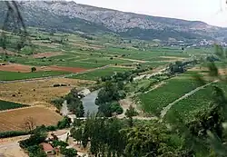 Blick vom Höhleneingang ins Tal des Verdouble