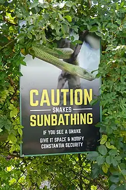 Warnschild vor Schlangen beim Sonnenbaden