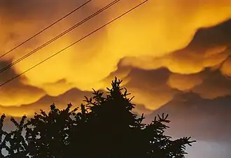 Mammatus nach einem nächtlichen Gewitter über dem Moseltal, 29.&nbsp;Mai 2000