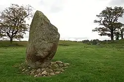 Zentraler Menhir