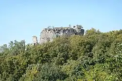 Außenansicht der Burgruine