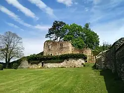 Ruine der Burg Moulins-Engilbert