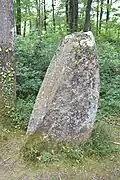 Menhir Pierre Levèe