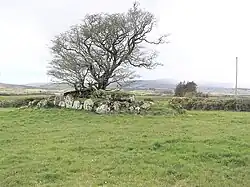 Loughmacrory Wedge Tomb mit „Fairy tree“