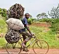 Nutzung als Transportmittel, Lieferung von Holzkohle (Uganda)
