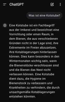 Das Bild zeigt via ChatGPT eine Antwort auf die Frage, was eine „Kotstube“ sei