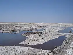 Die Laguna Chaxa gehört zum Sektor Soncor. Der Salzsee ist Lebensraum für Zugvögel und kleine Wassertiere.