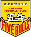 2003–2006 Chengdu Five Bulls