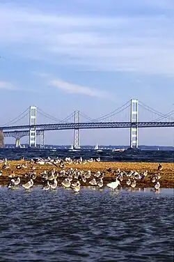 Die Chesapeake Bay Bridge