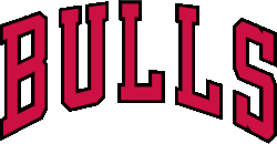 Logo der Chicago Bulls