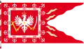Militärisches Banner vor 1660