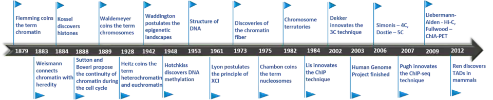 Zeitlicher Ablauf von Erforschung des Chromatins