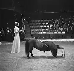 Vorstellung Dezember 1948