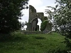 Ruine Abbeylara (2007)