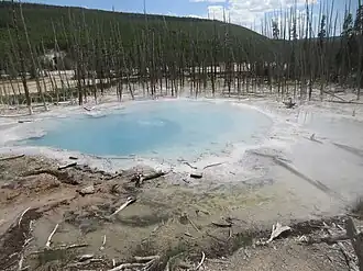 Cistern Spring im Back Basin