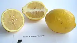 Früchte der Sorte „Eureka“ (das schwarze Quadrat hat eine Kantenlänge von 1&nbsp;cm)