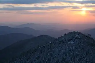 Das Gebirge von der Spitze des Mount Le Conte aus gesehen.