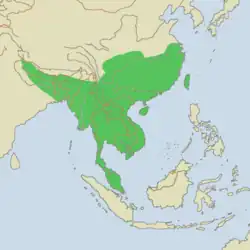 Historisches Verbreitungsgebiet des Nebelparders