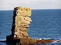 Linney Head