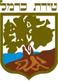 Wappen von Tirat Carmel