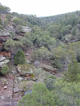 Stone Creek im Cocoparra-Nationalpark