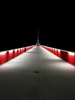 Der Neckarsteg Richtung Neckarstadt-Ost bei Nacht