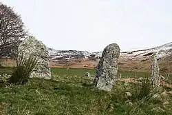 Steinkreis von Colmeallie