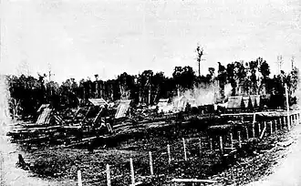 Burenkolonie in Gorbea
