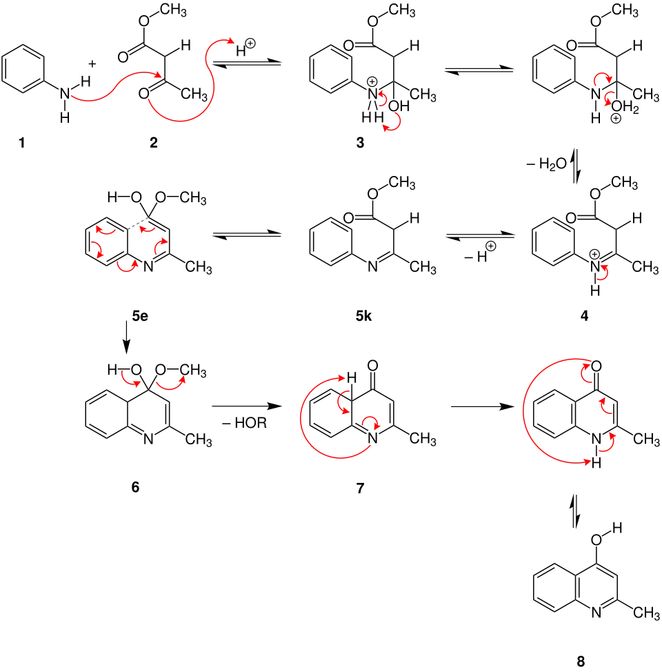 Mechanismus der Conrad-Limpach-Chinolinsynthese