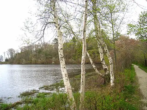 Coolidge Reservation