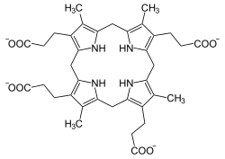 Coproporphyrinogen III