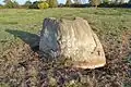 Menhir du Marais de la Roche