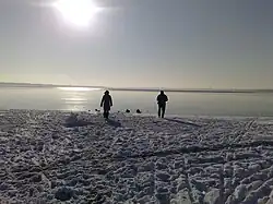 Cospudener See im Winter