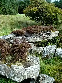 Wedge Tomb von Casheltown