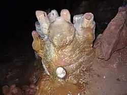 Gesteinsformation entstehender Stalagmiten
