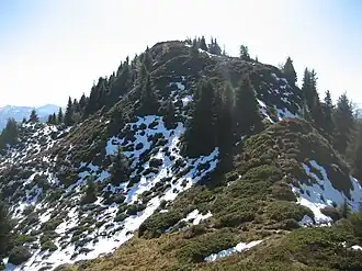 Crest dil Cut aufgenommen von Norden