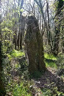 Menhir du Bois Hoël