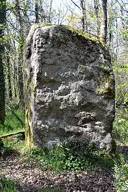 Menhir du Bois Hoël