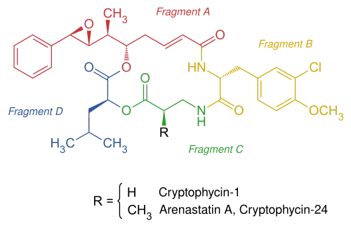 Strukturformel der Cryptophycine Cryptophycin-1 und Arenastatin&nbsp;A
