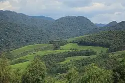 Hügelige bis bergige, bewaldete Landschaft