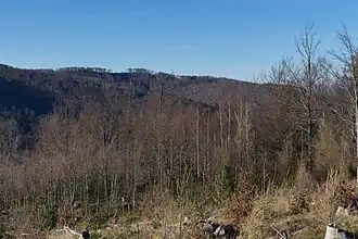 Mokry Groń und Cyberniok aus Kozia Góra