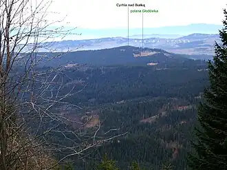 Blick von der Gęsia Szyja