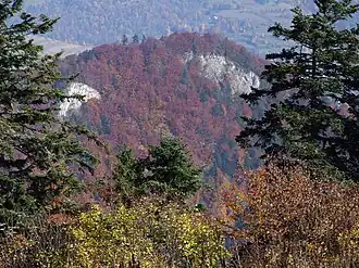 Blick von Trzy Korony